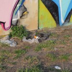 IMG_6927